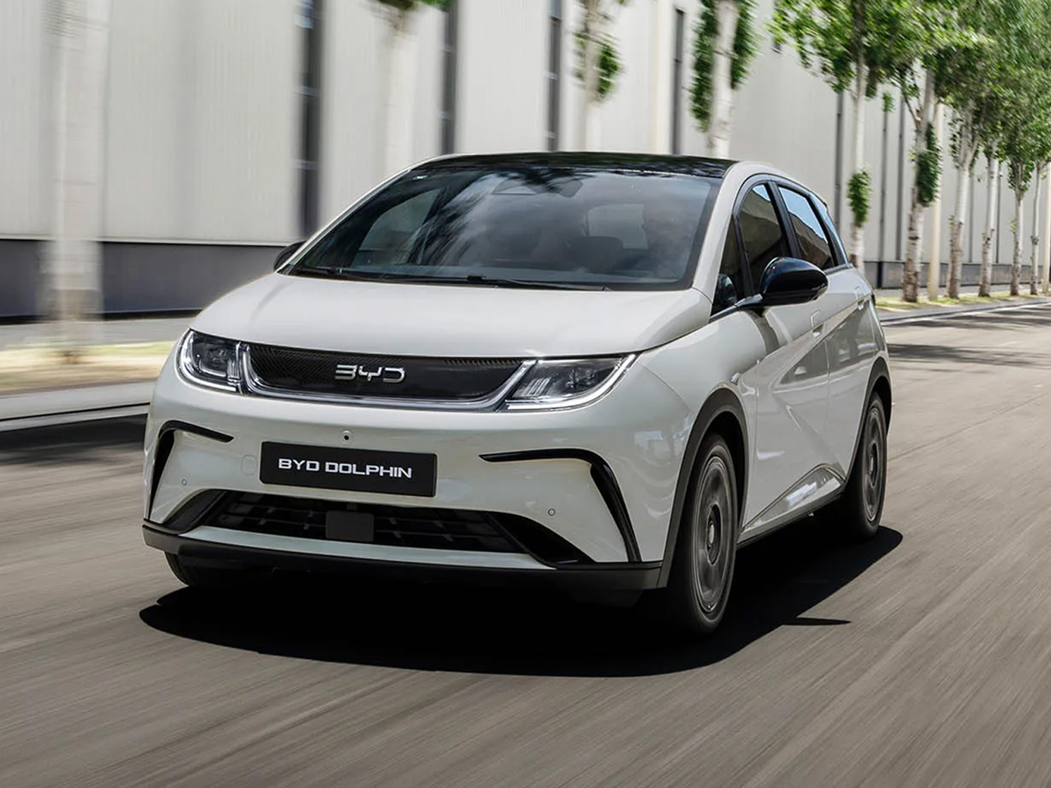 Byd Dolphin Foto