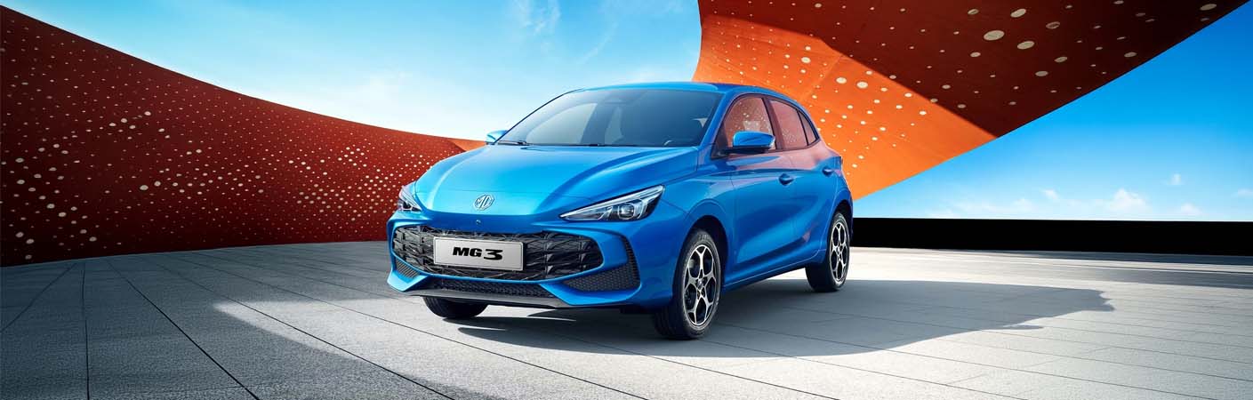 MG 3 Dettaglio