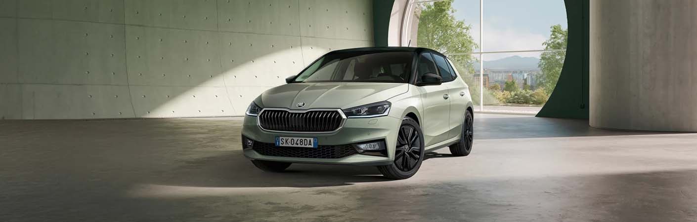 SKODA Fabia Dettagllo